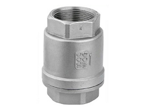 2 Piece Stainless Steel Spring Check Valve